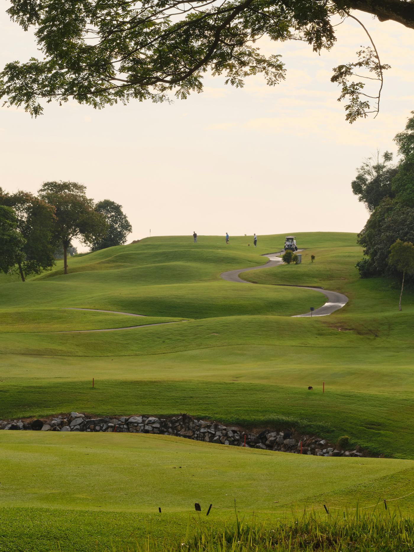 Golf course fairway at sunset